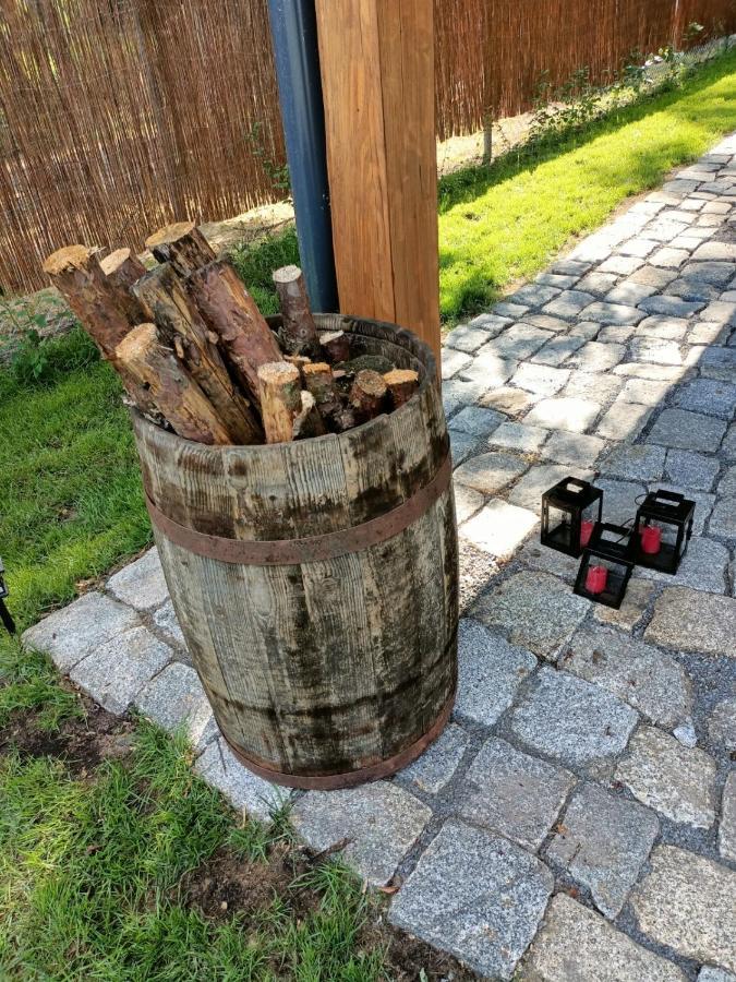 Вилла Smocze Ranczo 2 Осьно Лубуске Экстерьер фото